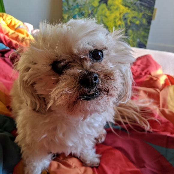 Meet your Posher, Sarah - Picture 1 of 1